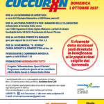 VOLANTINO retro -cuccu-run-20172 (1)