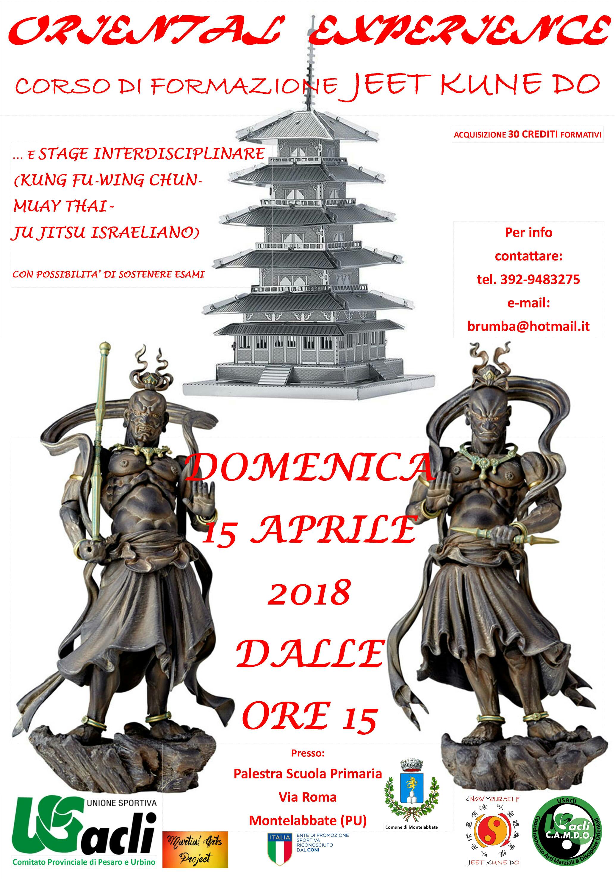 stage interdisciplinare